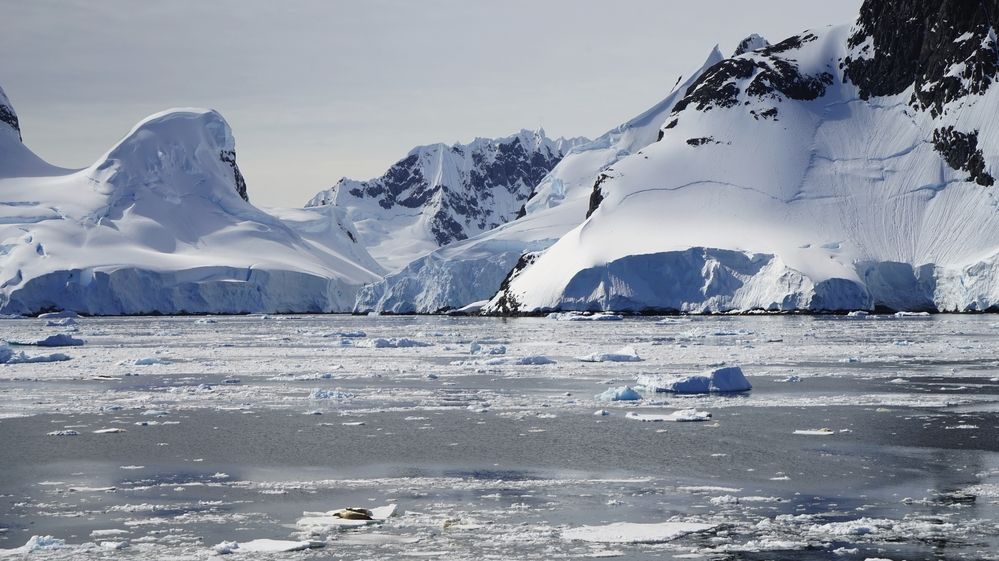 Oceánské proudy u Antarktidy prudce zpomalují, vědci už mluví o kolapsu